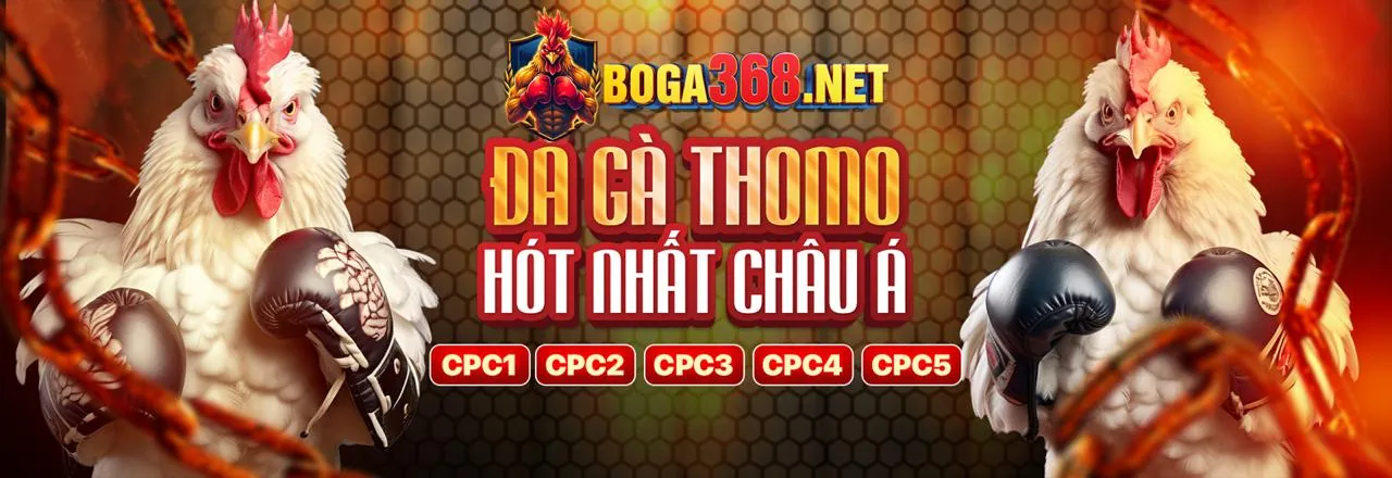 Đá Gà Trực Tiếp 33win33